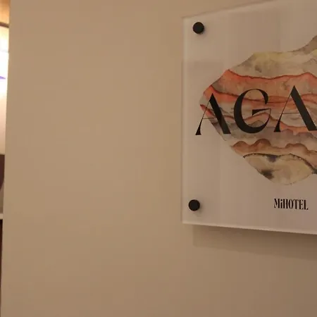 Mihotel Sala * Lione